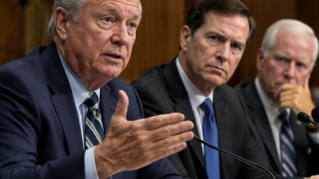 US Senate Urges President to Reconsider Military Action Agai