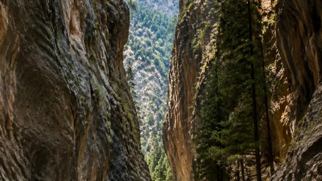 Exploring the Impacts of Samaria Gorge Visitor Statistics | 