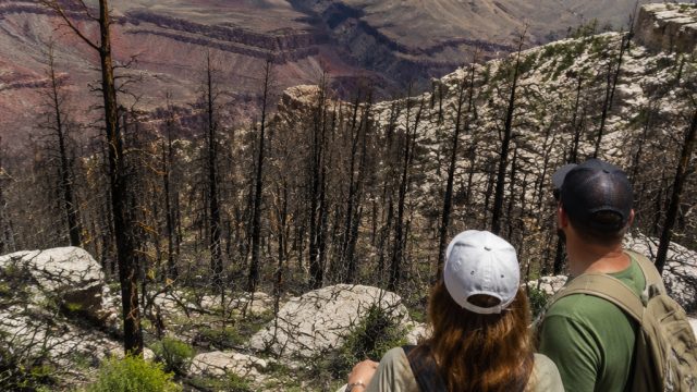 Grand Canyon National Park Reopens: A Year After Devastating