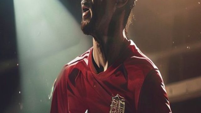Bosnia Advances in Knockout Stage: A Spotlight on Alajbegovi